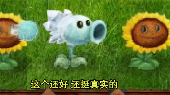 植物大战僵尸现实画风版