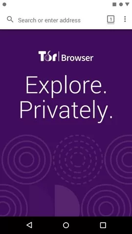 TorBrowser