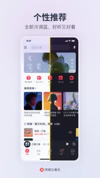 网易云音乐修改版