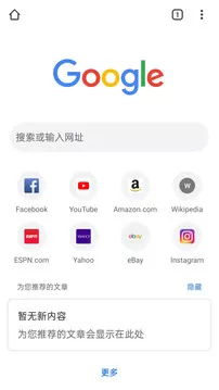 谷歌浏览器app中文版