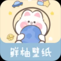 鲜柚壁纸app官网版