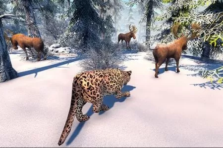 北极豹家族雪林模拟(Snow Leopard Family Sim)