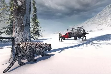 北极豹家族雪林模拟(Snow Leopard Family Sim)