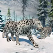 北极豹家族雪林模拟(Snow Leopard Family Sim)