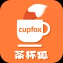 茶杯狐 Cupfox