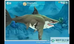 饥饿鲨世界老版本0.8 饥饿鲨进化5.0.0版本