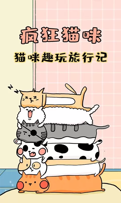 疯狂的猫