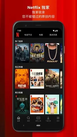 网飞app中文版