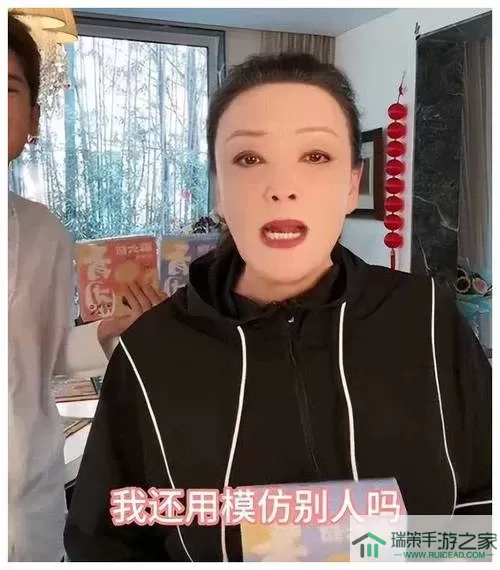 无限纷争通行证 无尽纠葛行驶证