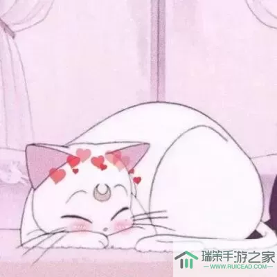 少女与猫情头 少女猫恋情