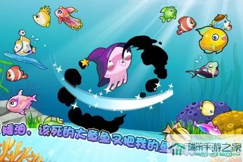 开心水族箱奈芙蒂斯 水族箱奈芙蒂斯的开心纪实