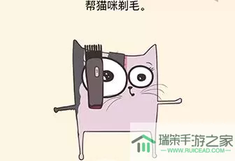 全民烧脑3猫饿了喂它吧怎么过？全民烧脑3猫饿了怎么办？