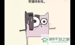 全民烧脑3猫饿了喂它吧怎么过？全民烧脑3猫饿了怎么办？