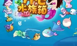 开心水族箱雌熊猫鱼 开心水族箱雌熊猫鱼乐趣