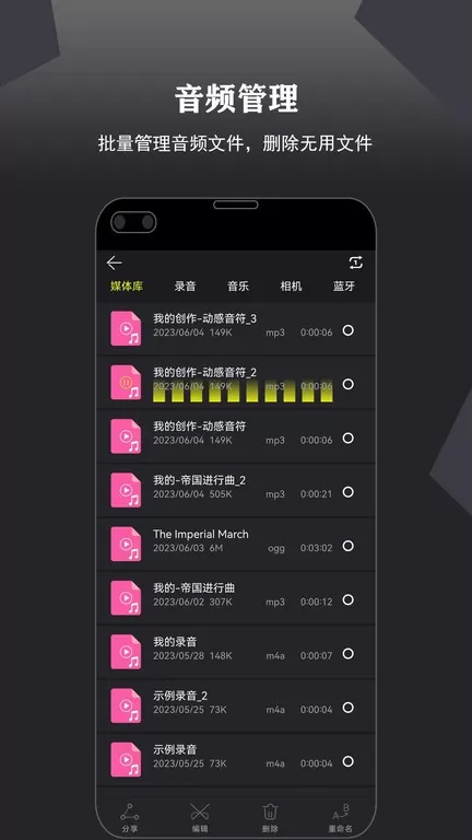 录音大宗师官网版app