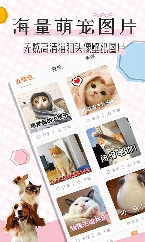 猫语翻译宝最新版