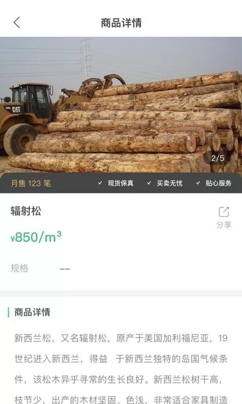 林信宝正版下载