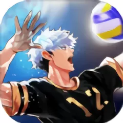 The Spike Volleyball battle免费版下载