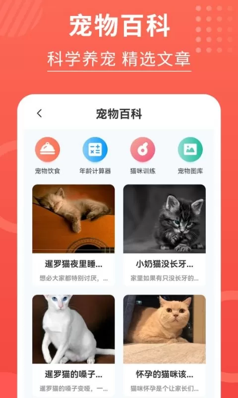 猫猫翻译器官网版旧版本