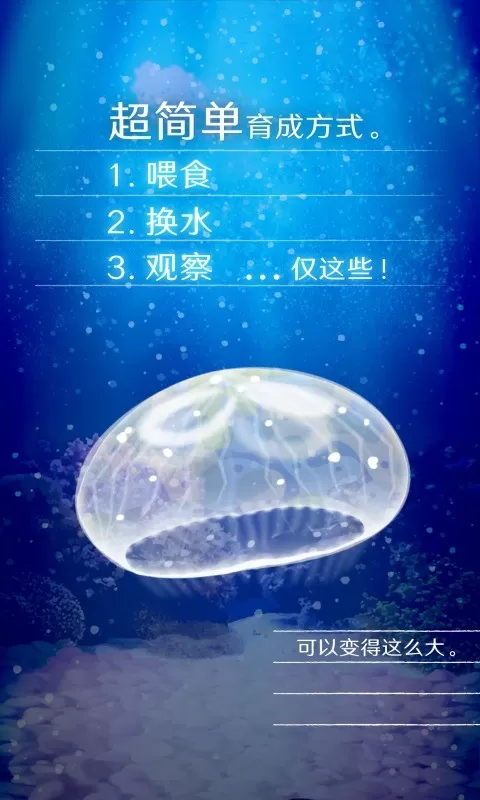 养育水母的治愈最新版app