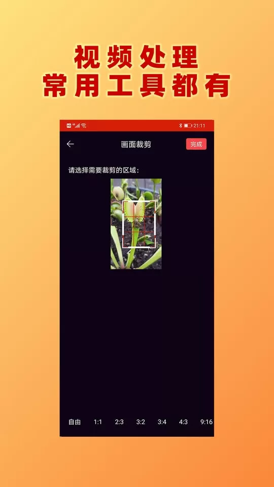 视频加文字app下载