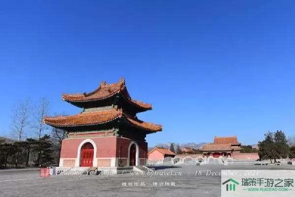 白景走廊荒地清理指南