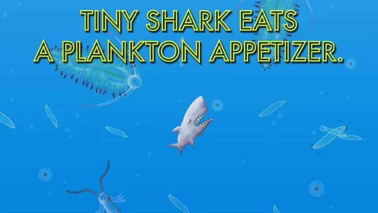 美味海洋鲨鱼版安卓手机版