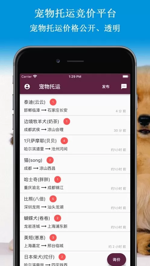 宠物托运下载正版