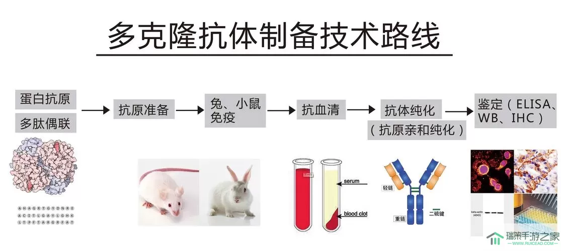 繁盛农场神秘克隆罐怎么用