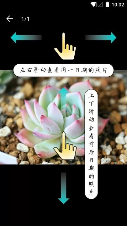 多肉成长记app下载