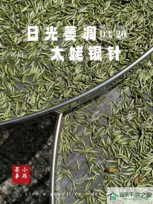 密室逃脱糖果乐园五片叶子的木箱怎么过