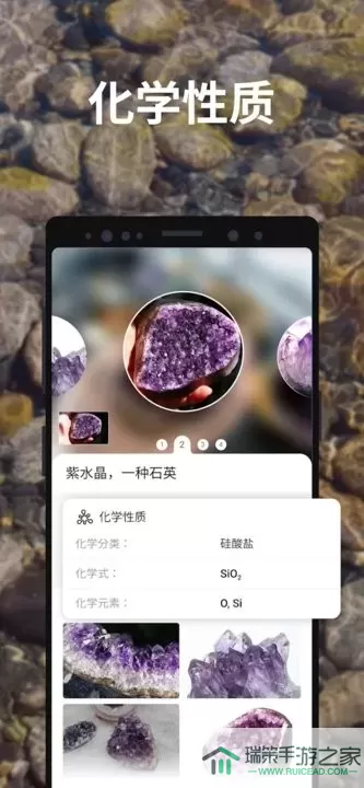 Rock Identifier安卓版最新版