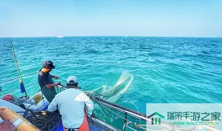 海洋捕鱼犯法吗