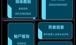 案件大师人物介绍