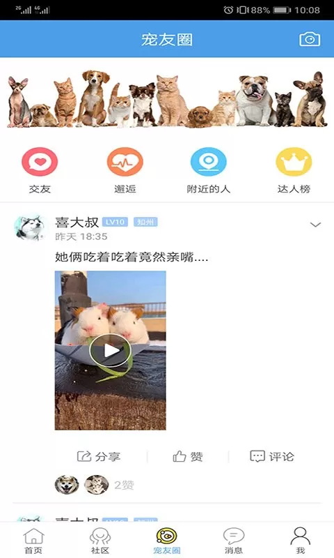 宠物之家下载最新版本