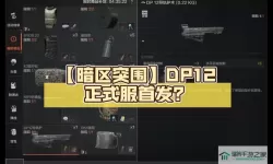 暗区突围dp12