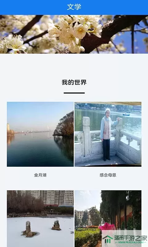 宣威之窗官网版app