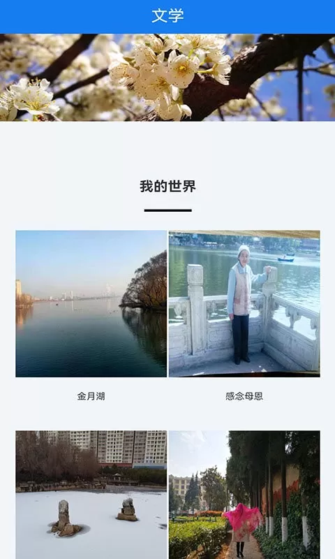 宣威之窗官网版app