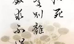 怨憎会的会什么意思