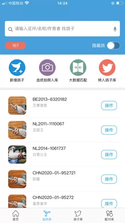 赛鸽云官网版app