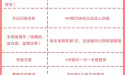 花千骨vip等级对照表