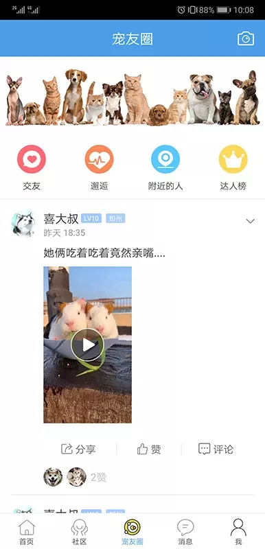 宠物之家下载免费