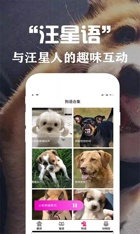 狗语翻译交流器老版本下载