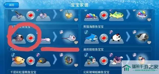 开心水族箱鱼类资料