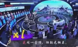 诗词大会飞花令百人团