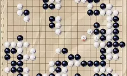 世界上最难的围棋题目解题时间是