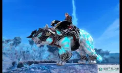 ff14双塔尼亚是双人坐骑吗