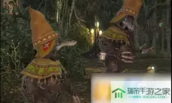 ff14种族设定集