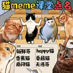 猫meme热梗免费版下载